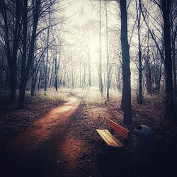 Herbstbank