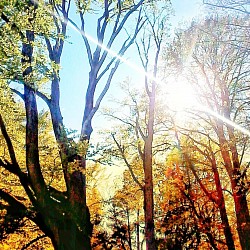 Frühherbst