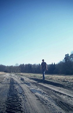 Spaziergang am Feld