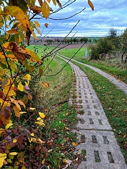 Feldweg
