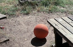 Basketball