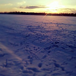 Spuren im Schnee
