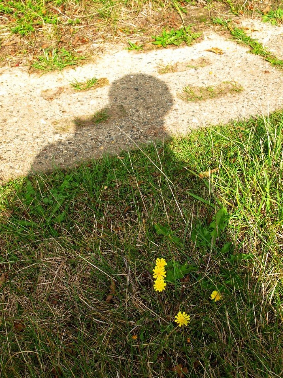 Schatten