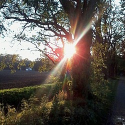 Sonnenstrahlen