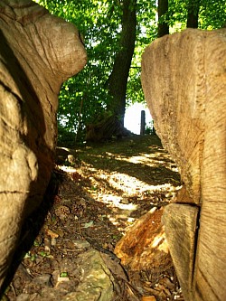 Steine im Wald