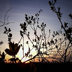Sonnenuntergang