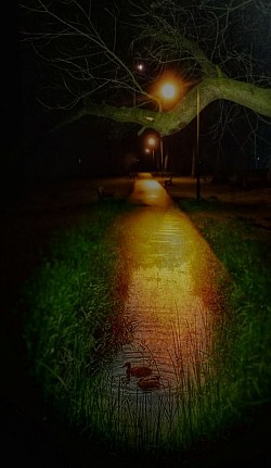 Ententeich