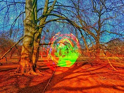 Portal