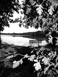 Am See