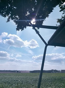 Gegenlicht