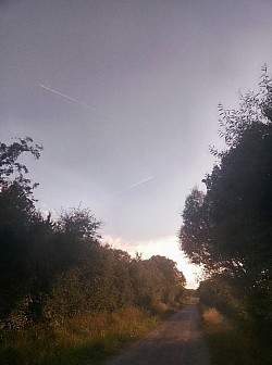 Wiesenweg