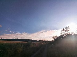 Feldweg